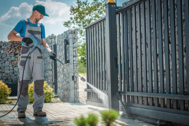Animal Enclosure Cleaning in Hamtramck, MI