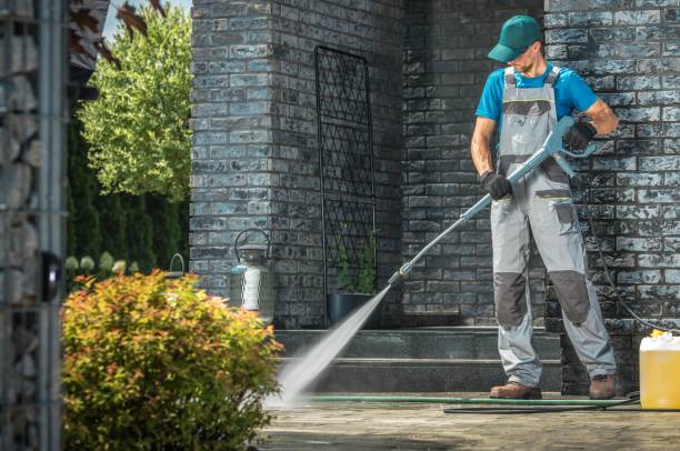 Best Gutter Cleaning  in Hamtramck, MI
