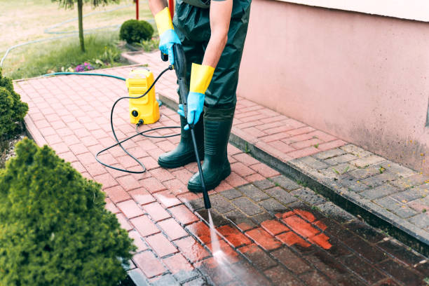 Best Sidewalk and Walkway Cleaning  in Hamtramck, MI