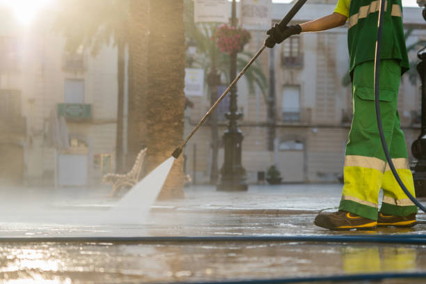 Best Driveway Pressure Washing  in Hamtramck, MI